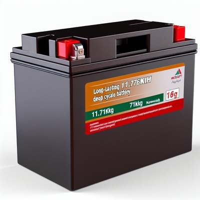 Goede prijs 51.2V 230Ah Golf Cart LiFePO4 batterij met Smart BMS 11.8kWh online